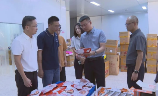 縣長調(diào)研電商及口岸經(jīng)濟工作，聚焦海淘物流發(fā)展新路徑